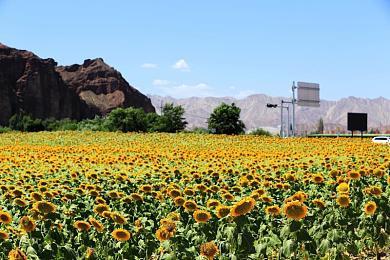 Epic携手巴黎世家 将《堡垒之夜》服饰推向现实商店